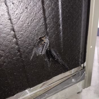 Vestel Bulaşık Makinesi Arkasında Durmuyor