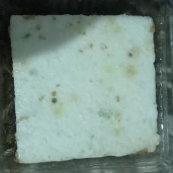 BİM Kıbrıs Tatlısı Aldım, Küflü Çıktı! Çocuklarımı Tehlikeye Attılar