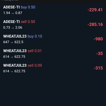 Capital Trader Firması İşlemlerinin Denetlenmesi Ve Mağduriyetler Hakkında