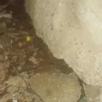 Çevre, Şehircilik Ve İklim Değişikliği Bakanlığı Hasar Tespiti Yapılmaması