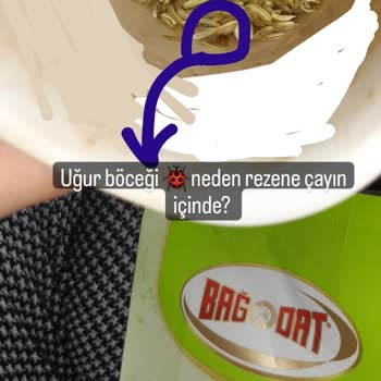 Bağdat Baharat Markalı Rezene Çayının İçinden Uğur Böceği Çıktı