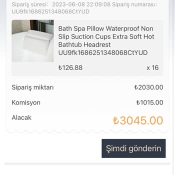 Kagaiju.com Ticari Amaçla Biriktirdiğim Parayı Kaptırdım