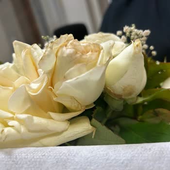 Çiçek Sepeti Ürün Bozuk Geldi