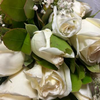 Çiçek Sepeti Ürün Bozuk Geldi