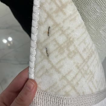 Parlar Halı Yıkama (Isparta) Parlar Halı Yıkamayı Kesinlikle Hayatınızdan Çıkarın!