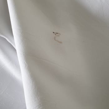 Ağva Kapım Otel Müşteriye Yapılan Saygısızlık Ve Pis Çarşaflar