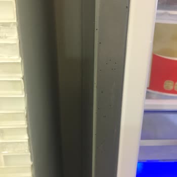 Black Stains Appeared In Certain Parts Of The Beko Fridge Lately