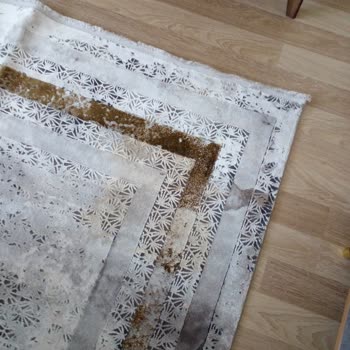 Kortem Halı Yıkama Hizmetinden Şikayetçiyim