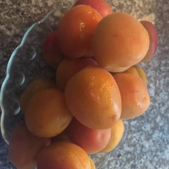 Migros Market Sipariş Sorunu