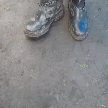 Doğadayız Maşukiye Çok Kötü Bir Tesis Maşukiye Doğadayız