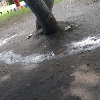 Doğadayız Maşukiye Çok Kötü Bir Tesis Maşukiye Doğadayız