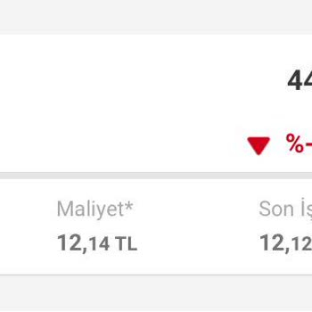VakıfBank Halka Arz Fiyatından Yüksek Maliyet Çıkarıyor.