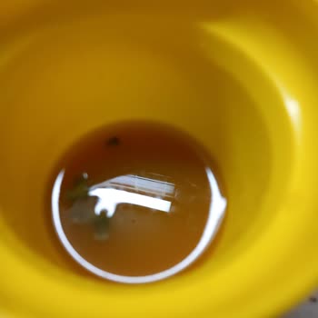 Tamek Marka Meyve Suyundan Çıkan Cisimler