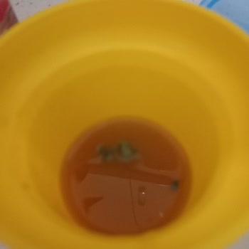 Tamek Marka Meyve Suyundan Çıkan Cisimler