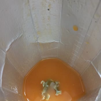 Tamek Marka Meyve Suyundan Çıkan Cisimler