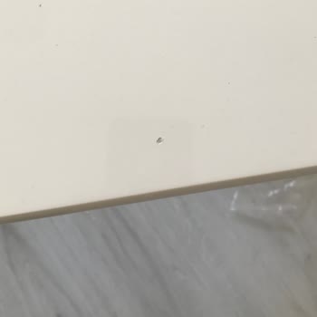 Ağrı Patnos Bellona Bayi Yetkilisi Sorumsuzluğu