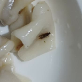 BİM Mantıdan Böcek Çıktı