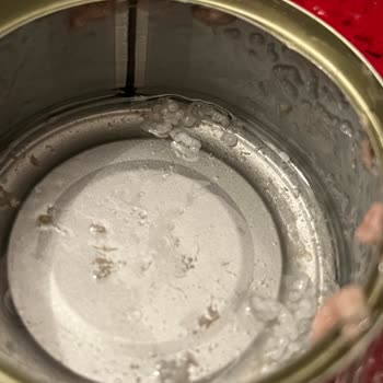 Superfresh Ton Balığı Küflenmiş Gibi