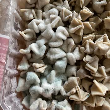 BİM'den Alınan Tarihi Geçmemiş Küflü Mantı