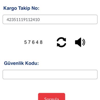 Sürat Kargo Takip Yapamıyorum