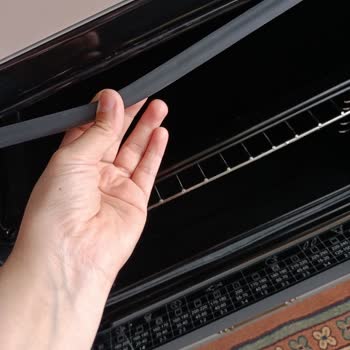 Silverline Fırın Contası Problemi