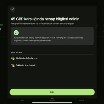 Wise Kurumsal Hesap Doğrulama Soru