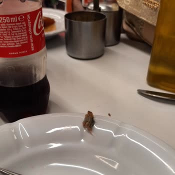 Köfteci Yusuf Köfteden Mavi Parça Çıktı