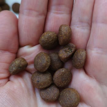 Virbac Türkiye Virbac Gastro Mama Yapısı Farklı