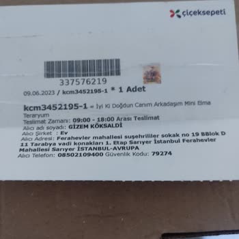 ÇiçekSepeti'nden Aldığım Teraryumum Kırıldı