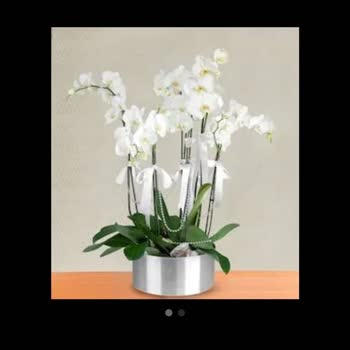 Çiçek Sepeti Görsel Farklı Ürün Ve İlgisiz Müşteri Hizmetleri