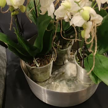 Çiçek Sepeti Görsel Farklı Ürün Ve İlgisiz Müşteri Hizmetleri