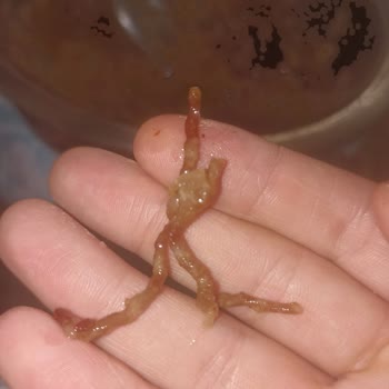 A101 Kombinet Dana Kıyması Çok Kötü