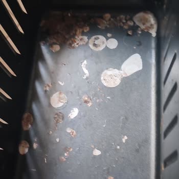 Yui Airfryer'de Boya Atması Paslanma