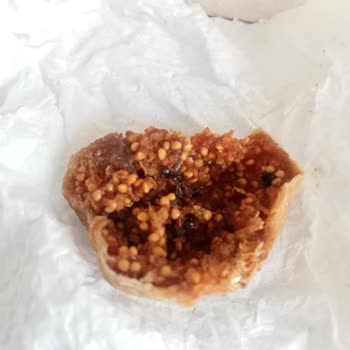 Dovido Kuru İncirde Kocaman Ölmüş Karıncalar Var