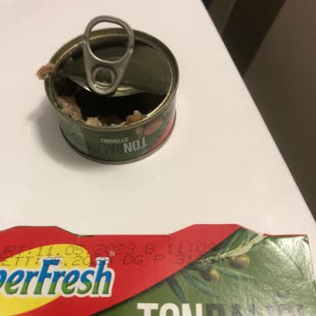 Süper Fresh Ton Balığı Zehirlenmesi