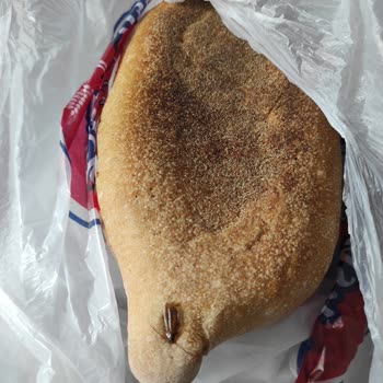 Demetevler Taksim Fırından Aldığımız Ekmek Hamuruna Böcek Yapışmış!