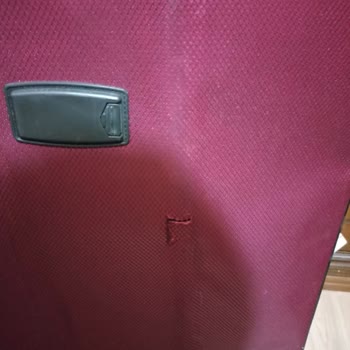 THY'nin Umursamazlığı