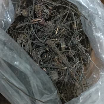 Sahte Ve Küflü Ürün