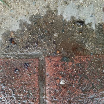 Ülker Link İçinden Yabancı Siyah Bir Madde Çıkması