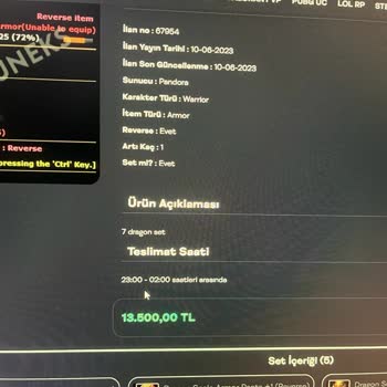 Oyuneks Knight Online İtem