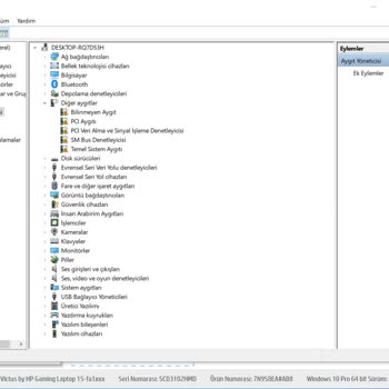 HP Victus 15 Windows 10 Driver Sorunu