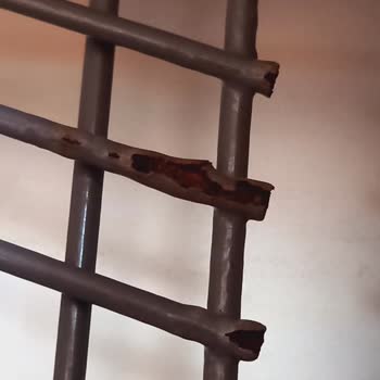 Bosch Bulaşık Makinesi Sepet Küflenmesi