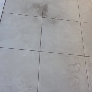 Kocaeli Darıcadaki Fabrikalardan Ve Kaynaklanan Hava Kirliliği