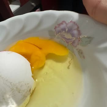 Anadolu Çiftliği Yumurtanın İçinden Kurt Çıktı.