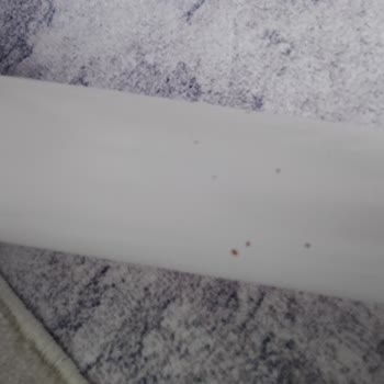 Mandalin Masa Sandalye Alınan Ürünlerin Ayaklarda Böceklenme