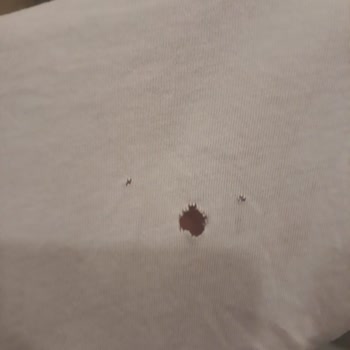 Bosch Çamaşır Makinesi Çamaşırları Deliyor