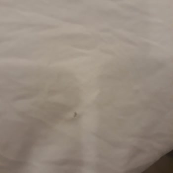 Bosch Çamaşır Makinesi Çamaşırları Deliyor