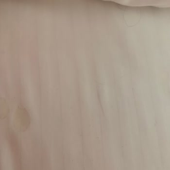 Sueno Hotels Sueno Side Steril Değil