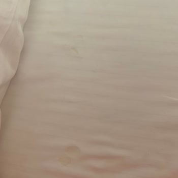 Sueno Hotels Sueno Side Steril Değil