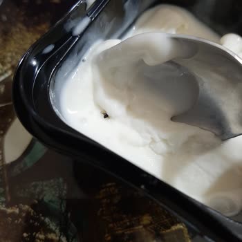 Golf Dondurma Golf Maraşım Böcek Çıktı